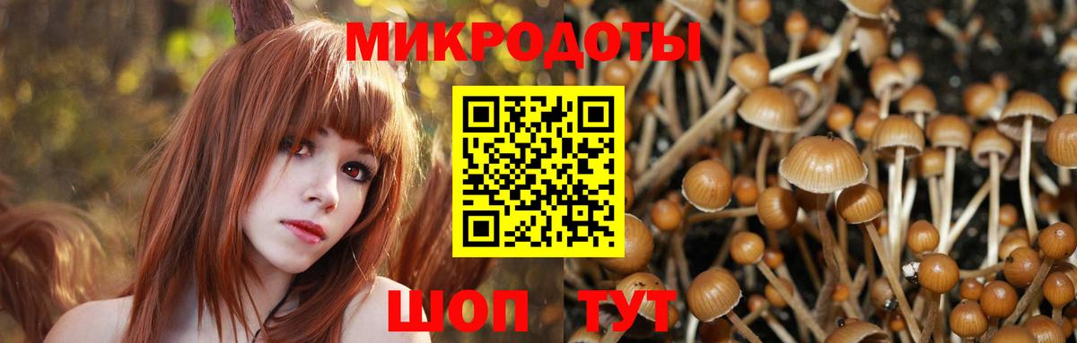 Галлюциногенные грибы ЛСД  Вход с VPN  Городец  Галлюциногенные грибы MAGIC MUSHROOMS 